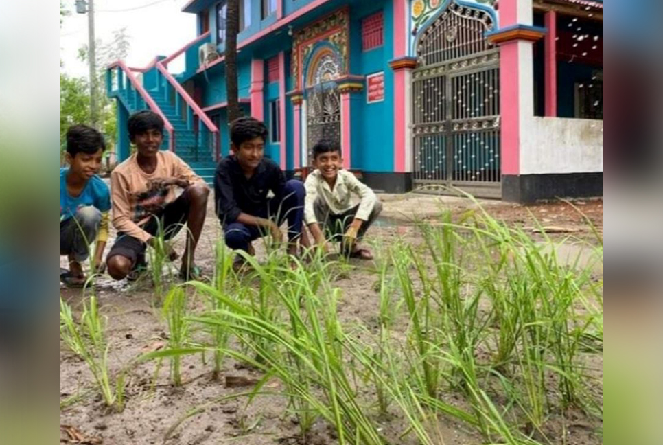 রাস্তায় ধানের চারা লাগিয়ে প্রতিবাদ