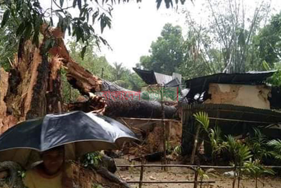 চকরিয়ায় কালবৈশাখী ঝড়ে অর্ধ শতাধিক ঘরবাড়ি বিধ্বস্ত
