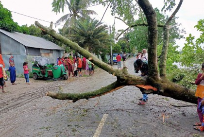 কুমিল্লায় ঝড়ে গাছ চাপায় বৃদ্ধের মৃত্যু, আহত ৫