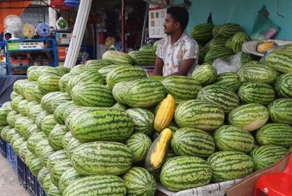 বাগেরহাটে সিন্ডিকেটে তরমুজের দাম আকাশ ছোঁয়া