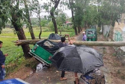 ফুলপুরে কালবৈশাখী ঝড়ে ব্যাপক ক্ষয়ক্ষতি 