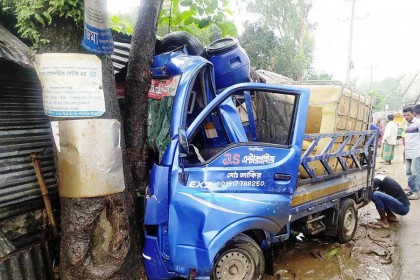 গাছের সাথে মাছ বোঝাই গাড়ির ধাক্কা, চালক নিহত