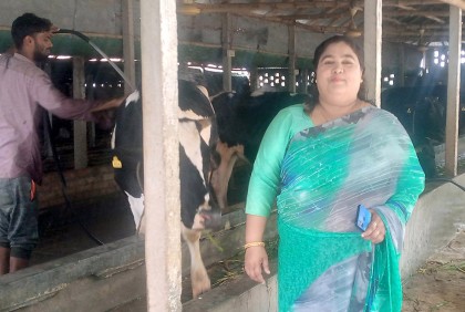 গরুর খামার গড়ে ভাগ্য ফিরেছে রেবেকার 