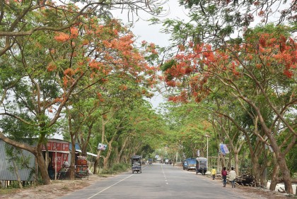 ঈদযাত্রায় দৌলতদিয়া ফেরিঘাটে স্বাগত জানাবে কৃষ্ণচূড়া