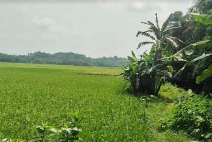 পাহাড়ের পাদদেশে পড়ে ছিল তরুণীর মরদেহ