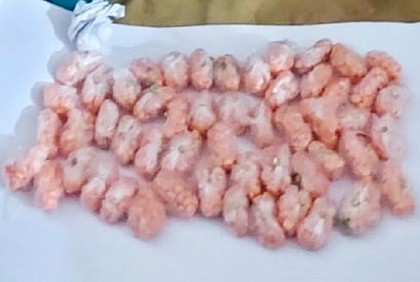 ১৫০০ পিস ইয়াবা পেটে নিয়ে রাজধানীতে তিন নারী!

