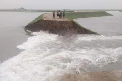 এবার মাউতির বাঁধে ভাঙন, ডুবেছে হাজারো কৃষকের ফসল

