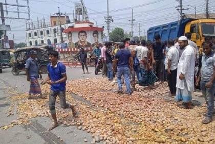 ন্যায্য মূল্যের দাবিতে রাস্তায় আলু ঢেলে প্রতিবাদ