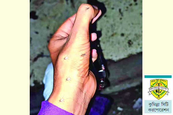 কুমিল্লায় বেড়েছে মশার উপদ্রব