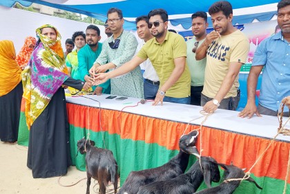 নওগাঁয় দরিদ্র ১২০ পরিবারের মাঝে ছাগল বিতরণ