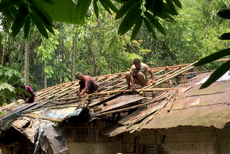 বিশ্বনাথে ঝড়ে লন্ডভন্ড ঘরবাড়ি, গাছপালা