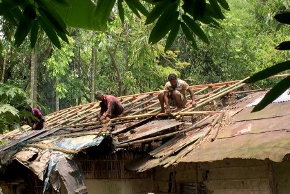 বিশ্বনাথে ঝড়ে লন্ডভন্ড ঘরবাড়ি, গাছপালা