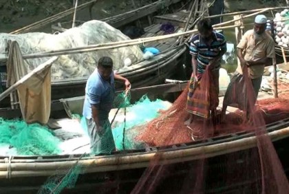 কাল মধ্যরাত থেকে ইলিশ আহরণে নামবে জেলেরা