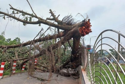মধ্যরাতের কালবৈশাখীর তাণ্ডবে লণ্ডভণ্ড ঠাকুরগাঁও