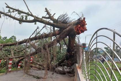কালবৈশাখীর তাণ্ডবে লণ্ডভণ্ড ঠাকুরগাঁও