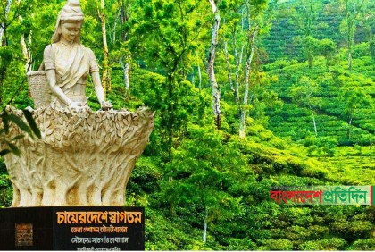 পর্যটকদের বরণে প্রস্তুত মৌলভীবাজার