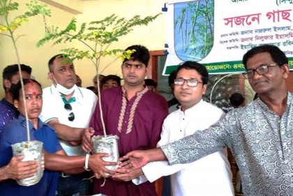 শ্রীমঙ্গলে দুই হাজার সজনে চারা বিতরণ