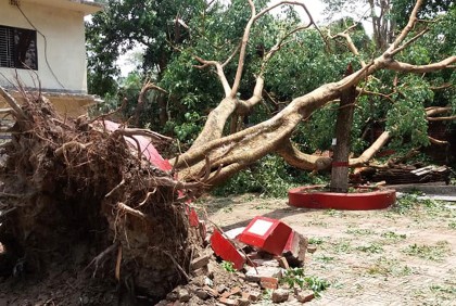 বগুড়ায় কালবৈশাখী ঝড়ে ব্যাপক ক্ষতি