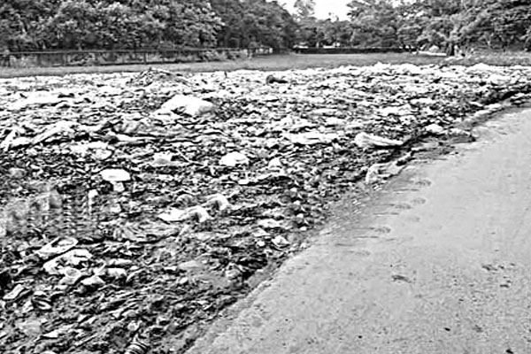 রোহিঙ্গা ক্যাম্পের ময়লা-আবর্জনায় তলিয়ে গেছে চাষাবাদের জমি