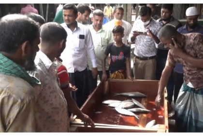 মেঘনা ও তেঁতুলিয়া নদীতে মাছ ধরা শুরু
