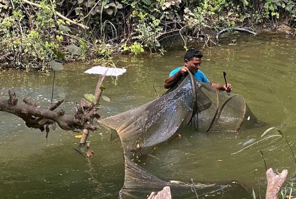 বাগেরহাটে দেশি প্রজাতির মাছ রক্ষায় অবৈধ জাল অপসারণ