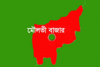 বড় ভাইয়ের লাঠির আঘাতে ছোট ভাইয়ের মৃত্যু

