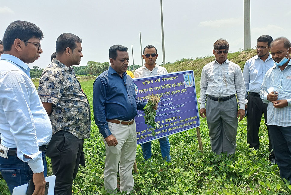 গোপালগঞ্জে মাঠ পরিদর্শন করলেন কৃষি মন্ত্রণালয়ের সচিব 