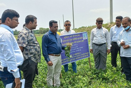 গোপালগঞ্জে মাঠ পরিদর্শন করলেন কৃষি মন্ত্রণালয়ের সচিব 