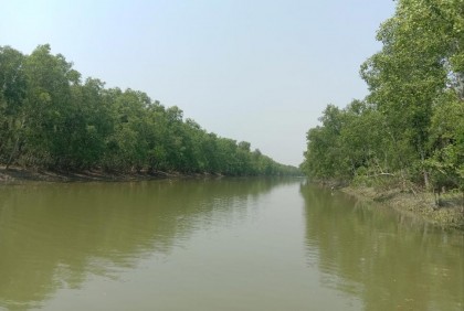 সুন্দরবনের বাঘ লোকালয়ে, আতঙ্কে ৪ গ্রামের মানুষ 