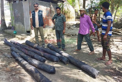 মোরেলগঞ্জে পুকুর থেকে সুন্দরী কাঠ উদ্ধার 