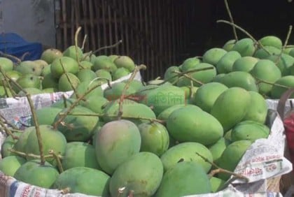 সাতক্ষীরার বড়বাজারে উঠেছে মৌসুমি ফল আম