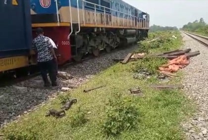রায়পুরায় ঢাকাগামী মালবাহী ট্রেন লাইনচ্যুত