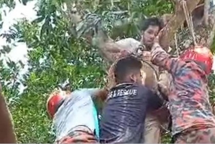আম গাছে উঠে অজ্ঞান, নামাতে ডাকা হলো ফায়ার সার্ভিসকে

