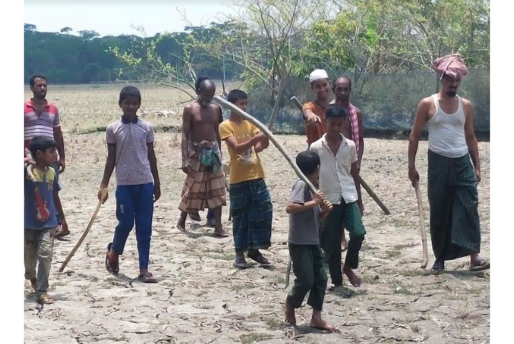 সুন্দরবনের বাঘ ৬ দিন ধরে লোকালয়ে,  
আতঙ্কে ২০ গ্রামের মানুষ