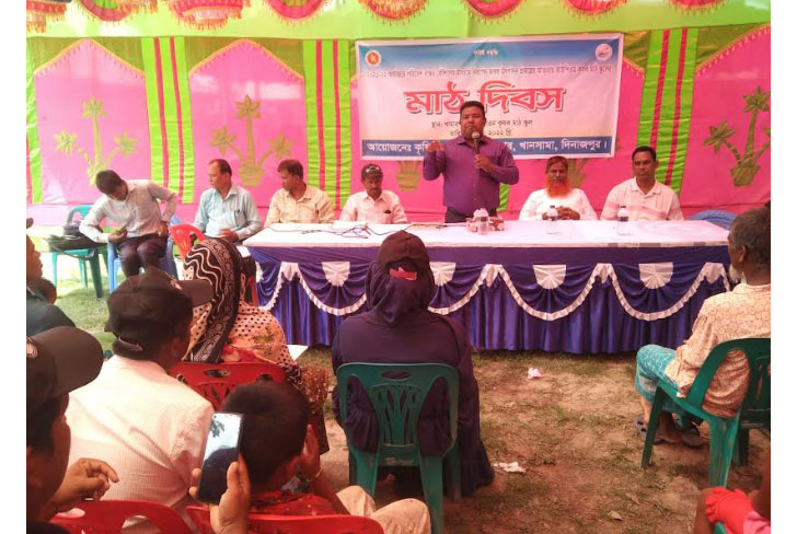 দিনাজপুরে নিরাপদ ফসল উৎপাদনে মাঠ দিবস