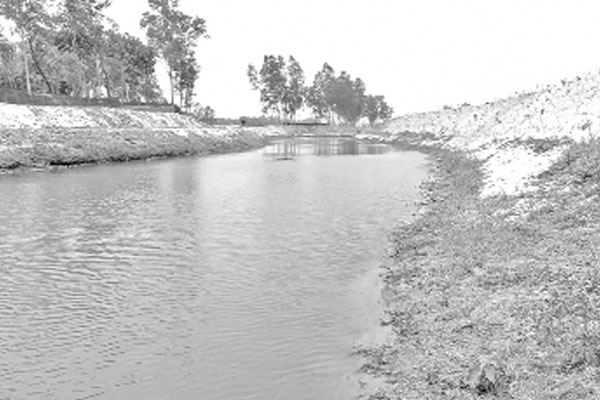প্রাণ পেল টাঙ্গন