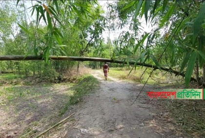 পঞ্চগড়ের যে গ্রামে হারিয়ে গেছে জনবসতি