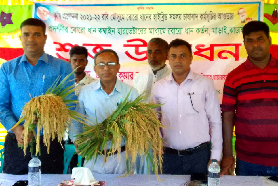 মুকসুদপুরে কম্বাইন হারভেস্টরের মাধ্যমে ধান কাটার উদ্বোধন 