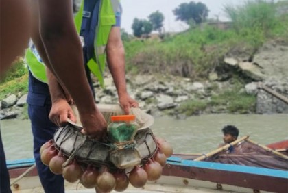 হালদা নদী থেকে ৩০ হাজার চিংড়ির রেনু উদ্ধার