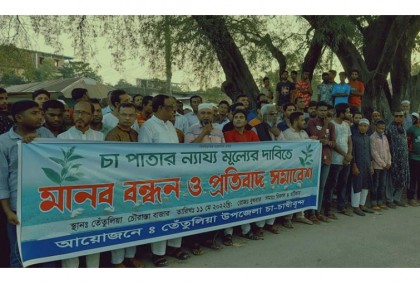কাঁচা চা পাতার ন্যায্যমূল্যের দাবিতে তেঁতুলিয়ায় মানববন্ধন