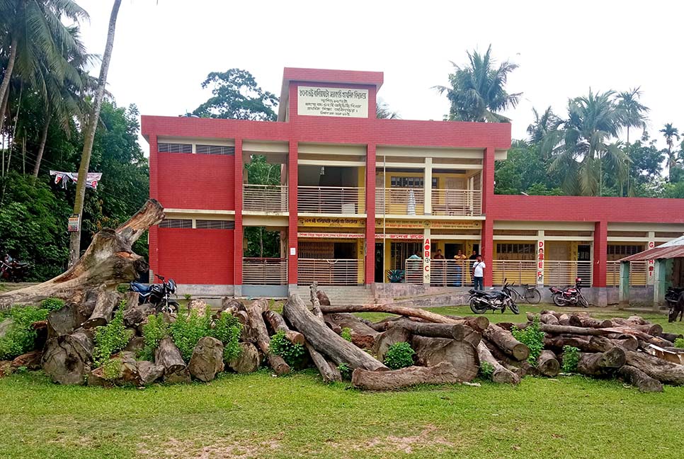 সরকারি স্কুলের গাছ-ভবন বিক্রিতে অনিয়মের অভিযোগ