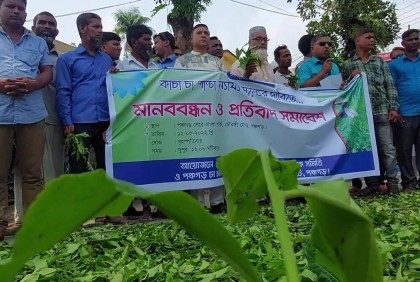 পঞ্চগড়ে সড়কে চা পাতা ফেলে চাষিদের প্রতিবাদ