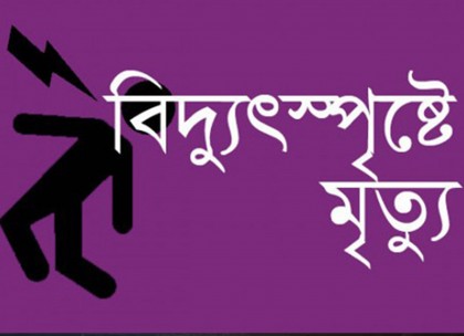গাছের ডাল কাটতে গিয়ে বিদ্যুৎপৃষ্ট হয়ে এক ব্যক্তির মৃত্যু