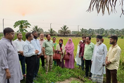'কৃষকরা এখন সারা বছরই ফসল উৎপাদন করতে পারবে'