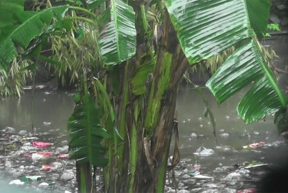 কুড়িগ্রামে অবিরাম বৃষ্টিতে বোরো ধান নিয়ে বিপাকে কৃষক