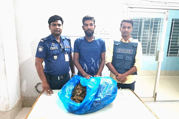 সরাইলে গাঁজাসহ যুবক গ্রেফতার