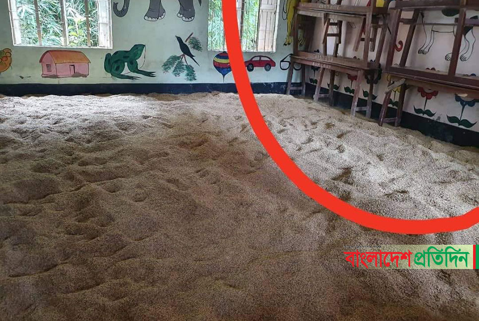 ক্লাস বন্ধ রেখে শ্রেণিকক্ষে ধান শুকানোর অভিযোগ