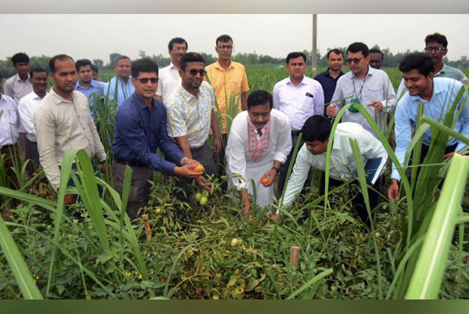 ‘আখের সাথে সাথি ফসল চাষ 
খাদ্য ঘাটতি পূরণে অবদান রাখবে’ 