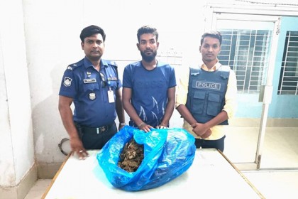 সরাইলে গাঁজাসহ যুবক গ্রেফতার