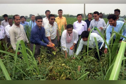 ‘আখের সাথে সাথি ফসল চাষ 
খাদ্য ঘাটতি পূরণে অবদান রাখবে’ 
